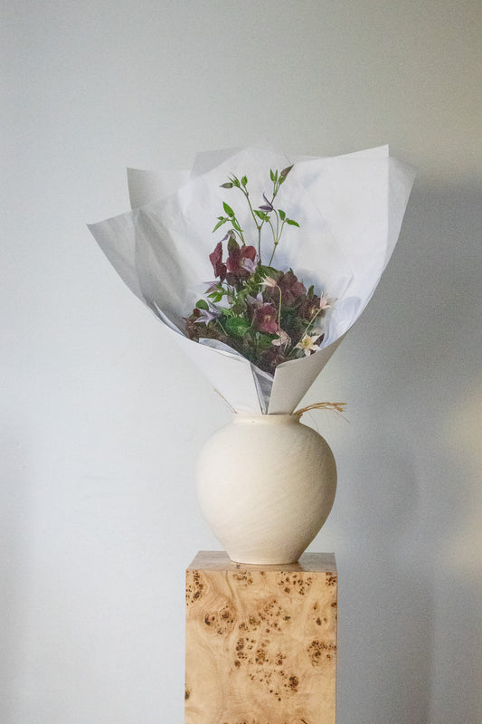 COMPLEMENT VOL 02 - MEDIUM