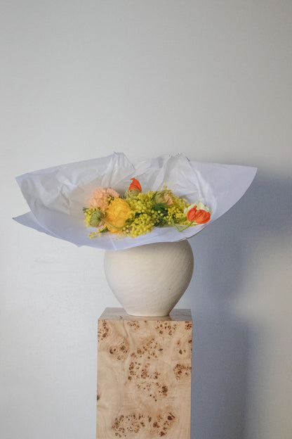 COMPLEMENT VOL 01 - MEDIUM