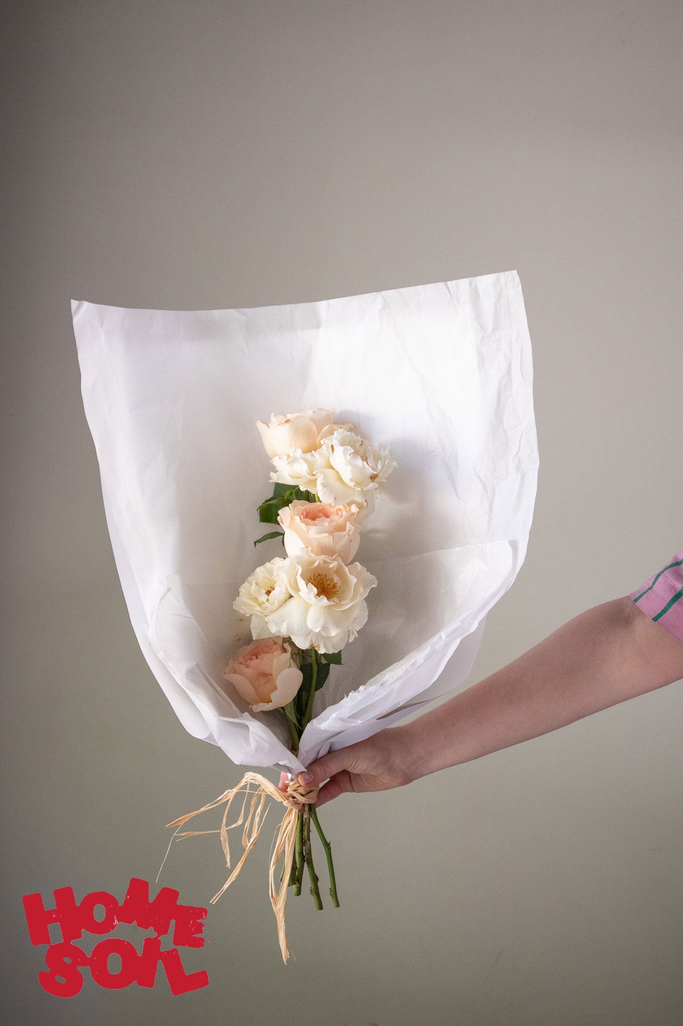 HOME SOIL ROSE - MEDIUM