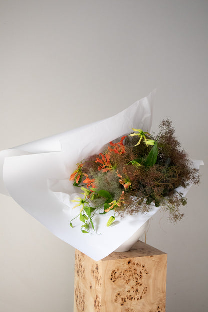 COMPLEMENT VOL 08 - MEDIUM