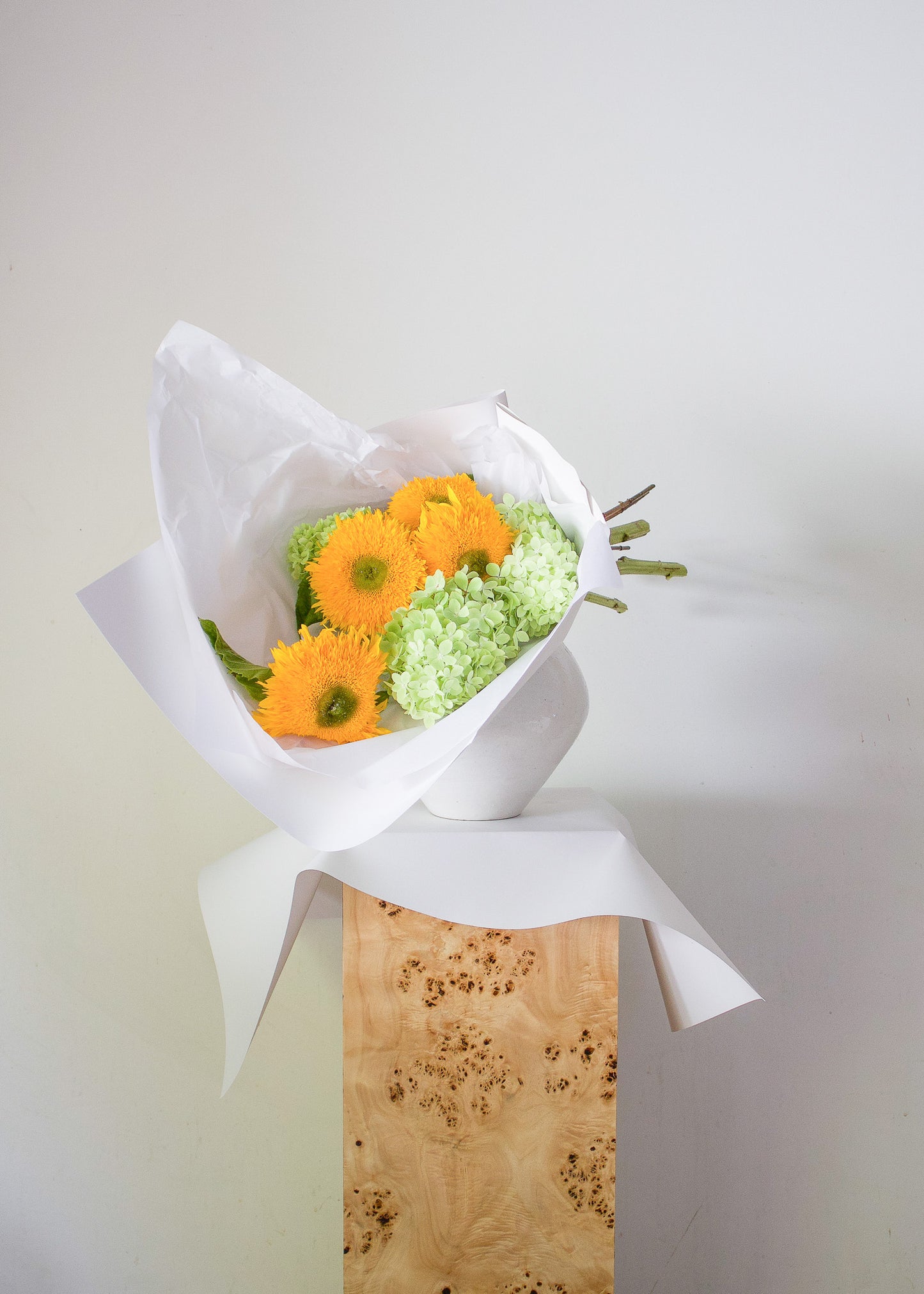 COMPLEMENT VOL 11 - MEDIUM