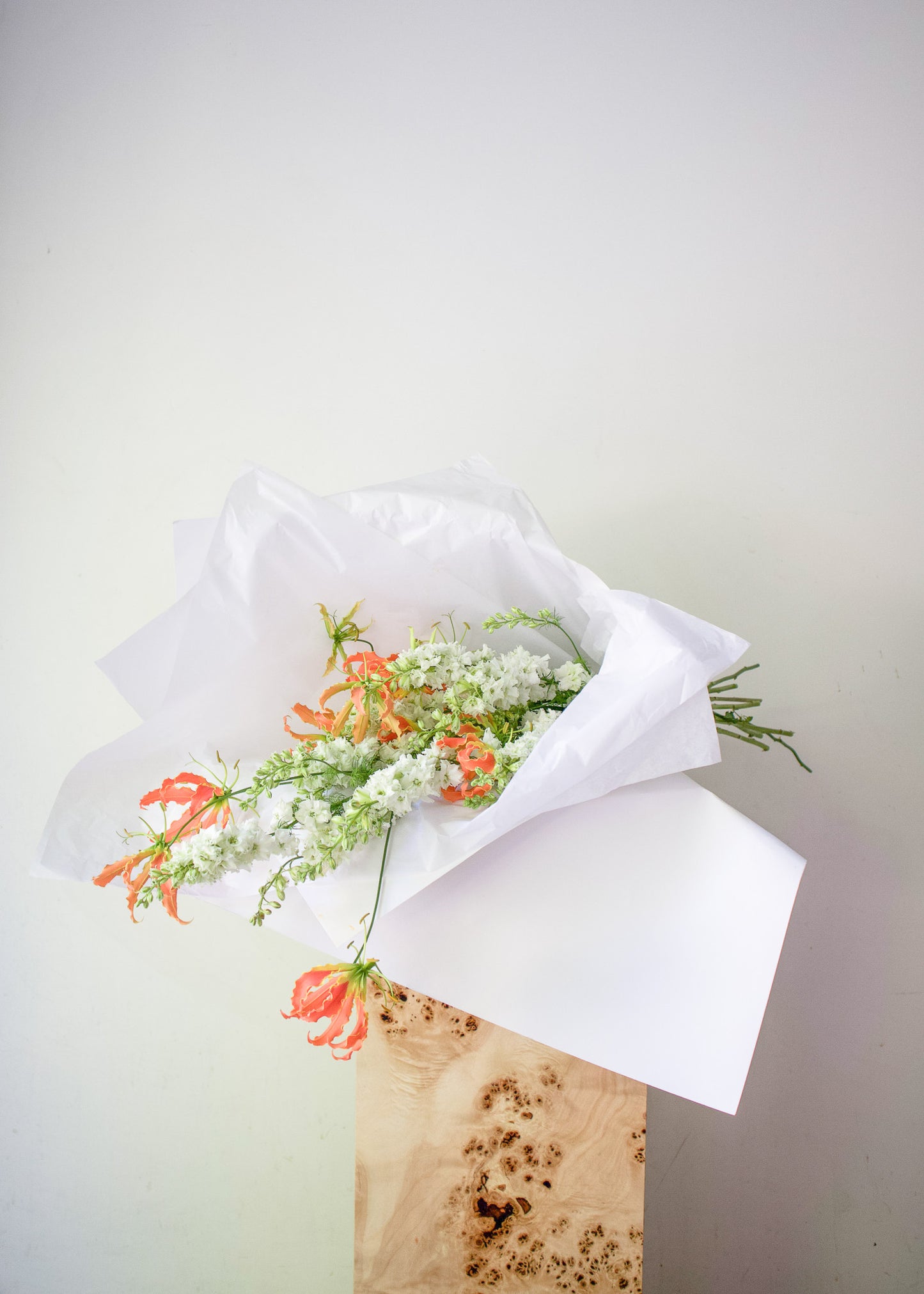 COMPLEMENT VOL 10 - MEDIUM