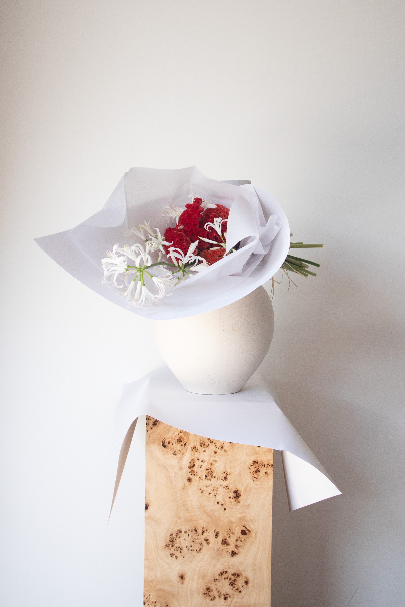 COMPLEMENT VOL 13 - MEDIUM