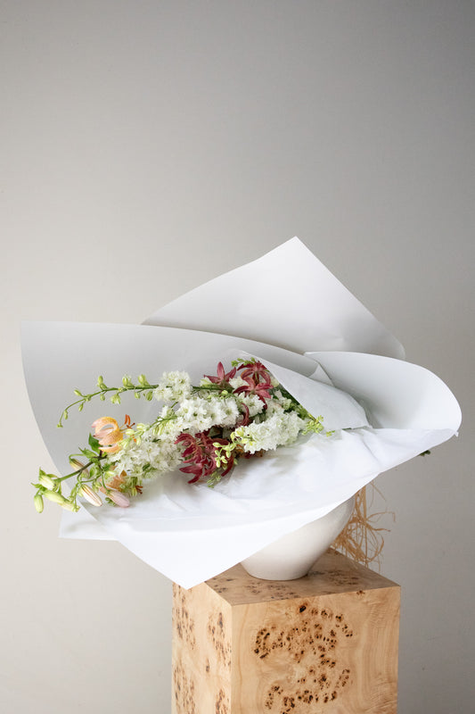 COMPLEMENT VOL 09 - MEDIUM