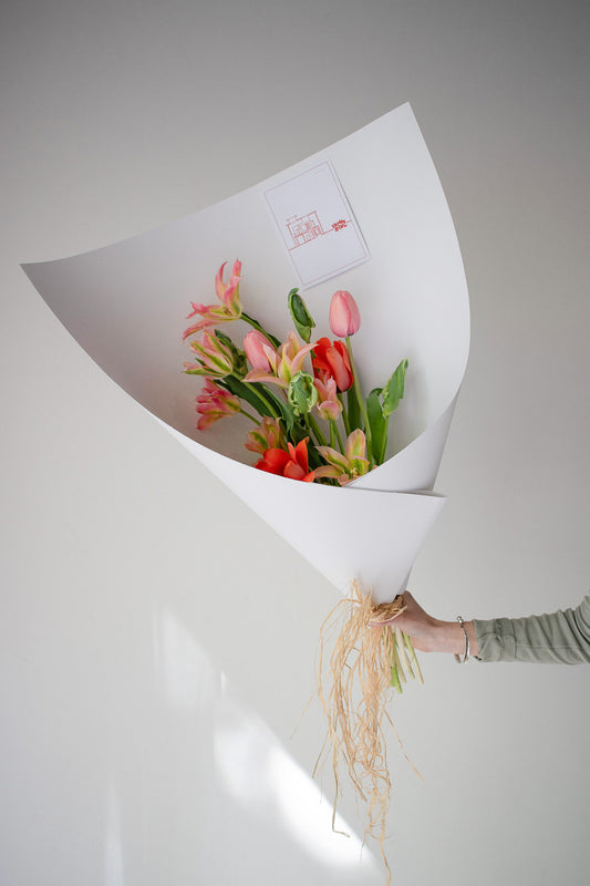 HOME SOIL TULIP - MEDIUM