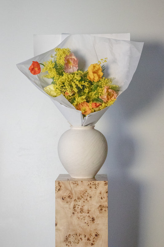 COMPLEMENT VOL 01 - LARGE