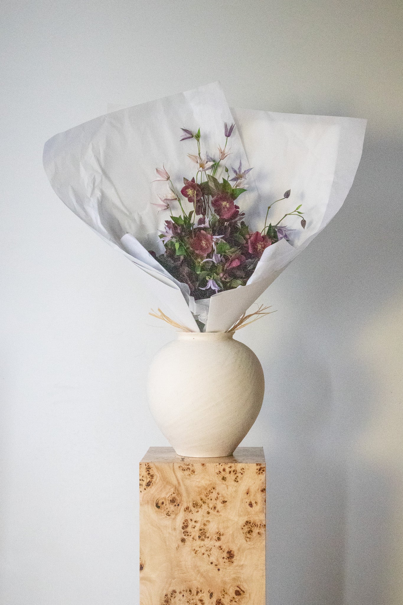 COMPLEMENT VOL 02 - LARGE