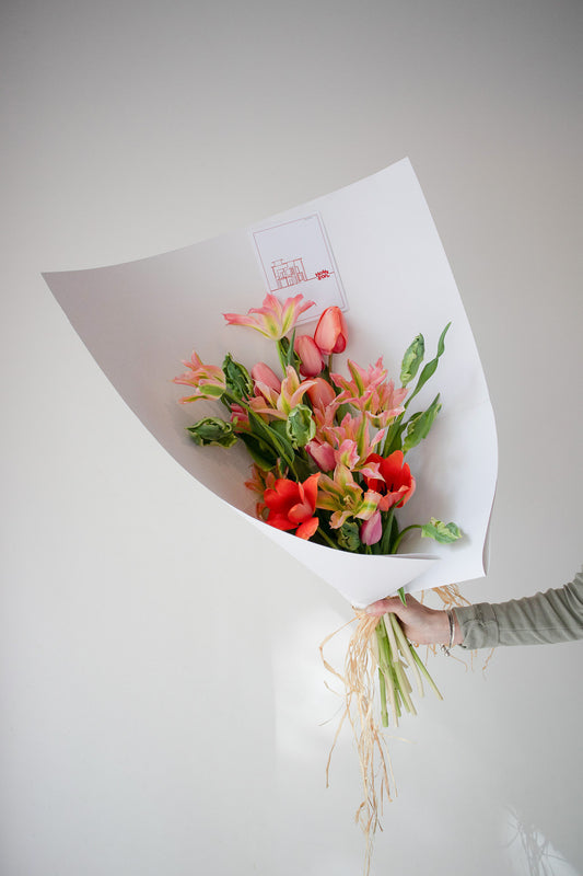 HOME SOIL TULIP - LARGE