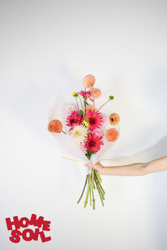 HOME SOIL DAHLIA - LARGE