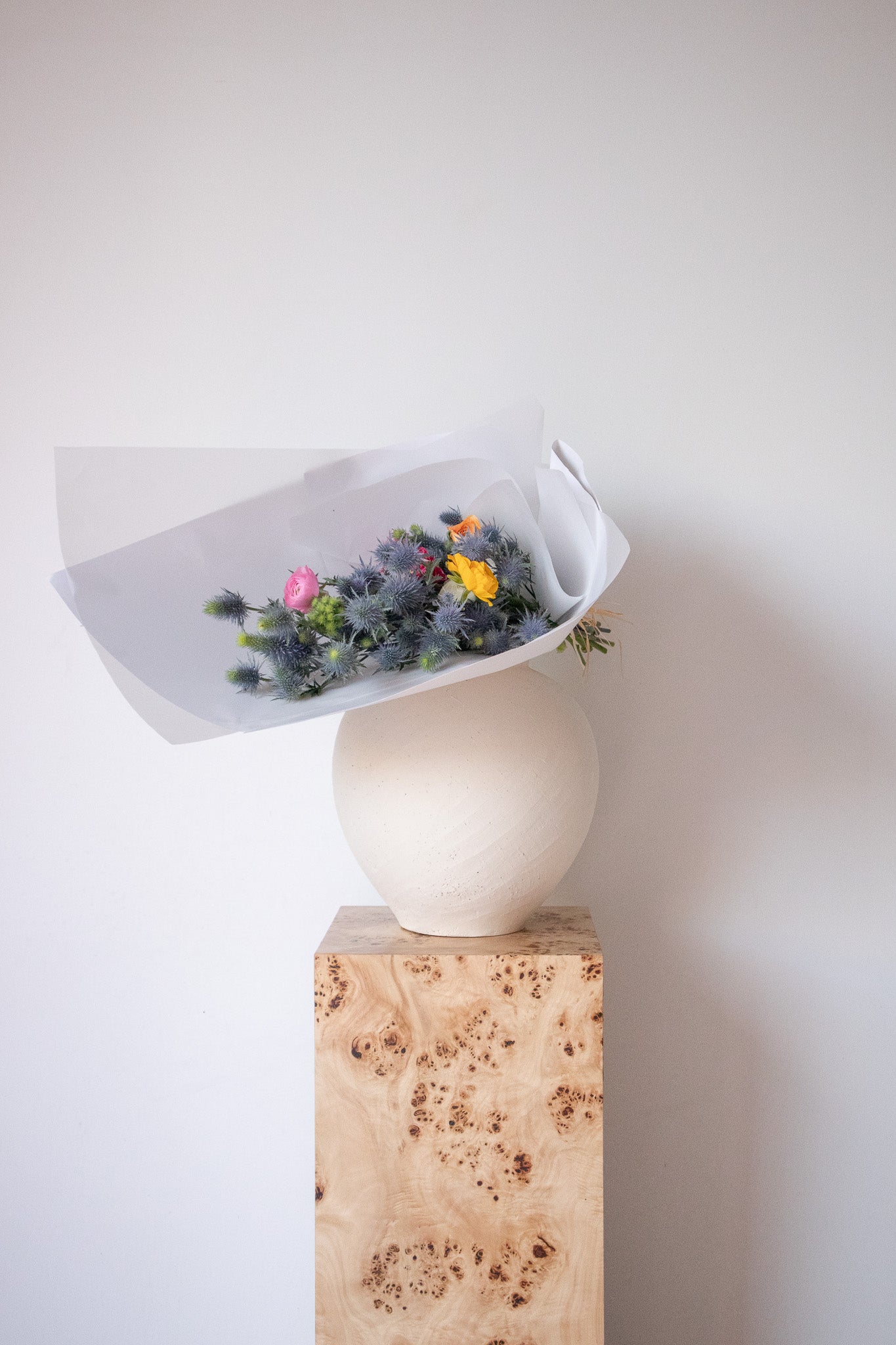 COMPLEMENT VOL 16 - MEDIUM