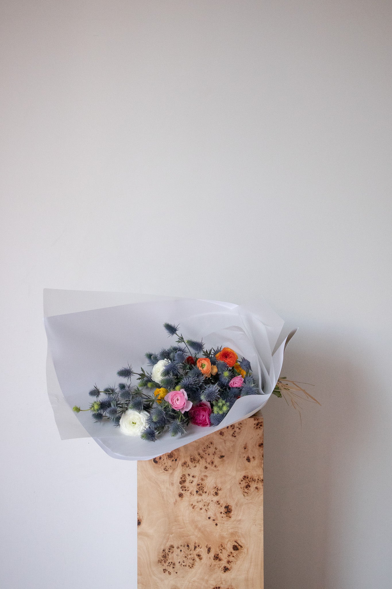 COMPLEMENT VOL 16 - LARGE