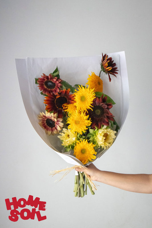 HOME SOIL SUNFLOWER - EXTRA LARGE