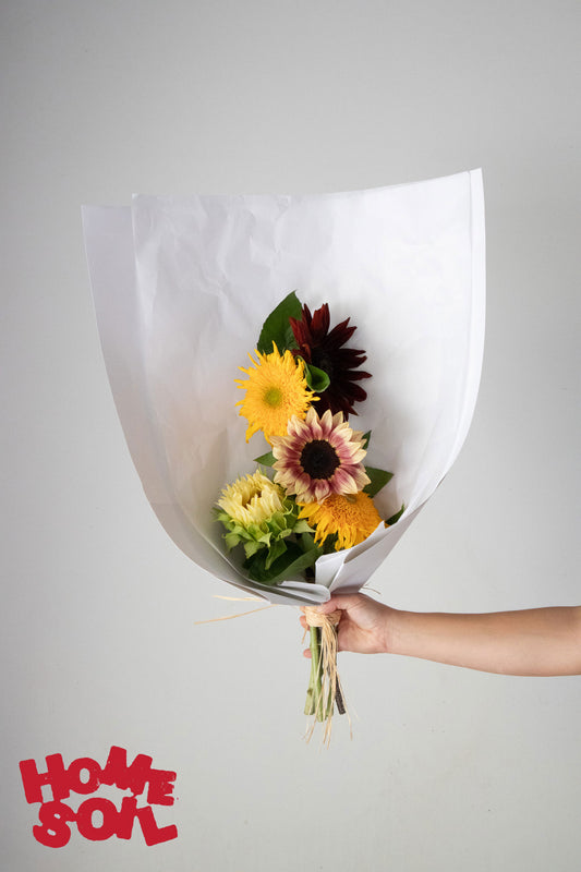 HOME SOIL SUNFLOWER - SMALL