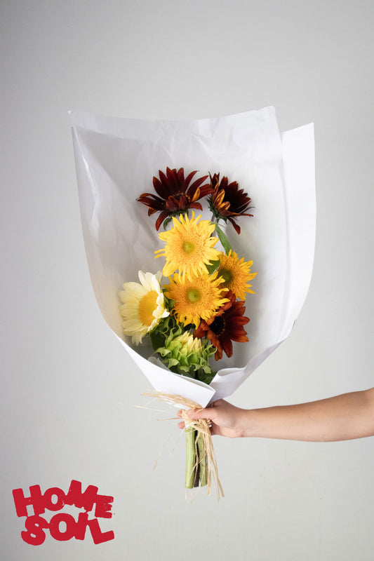 HOME SOIL SUNFLOWER - MEDIUM