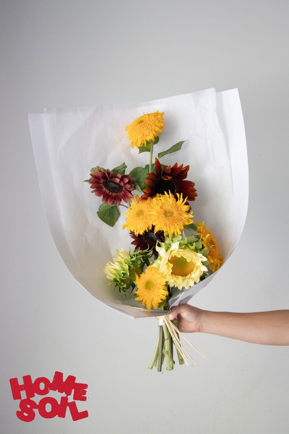 HOME SOIL SUNFLOWER - LARGE
