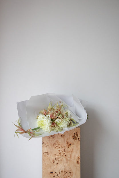 COMPLEMENT VOL 15 - EXTRA LARGE