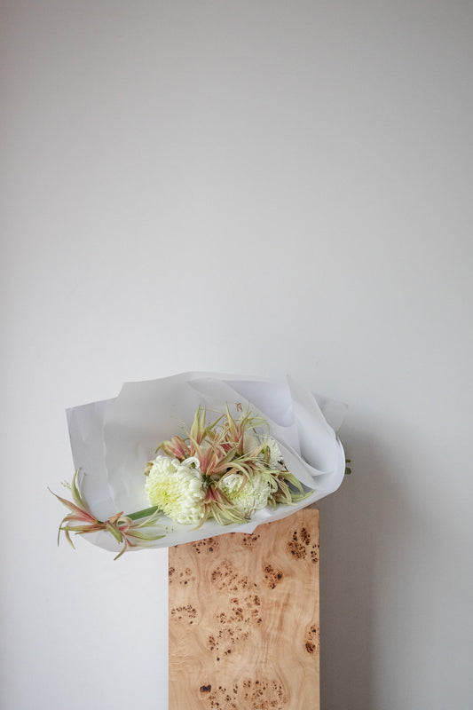 COMPLEMENT VOL 15 - EXTRA LARGE