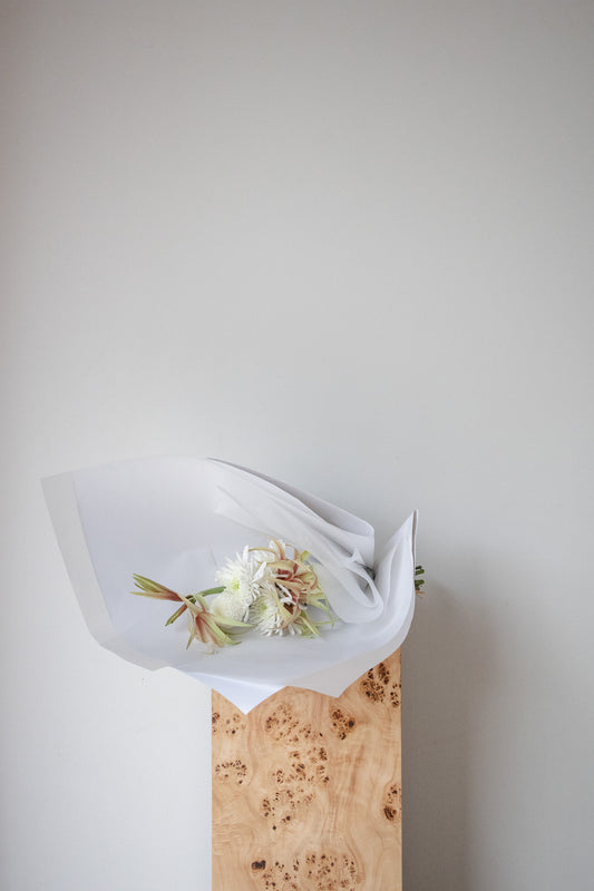 COMPLEMENT VOL 15 - SMALL