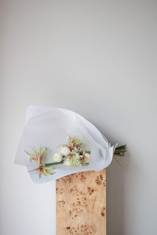 COMPLEMENT VOL 15 - MEDIUM