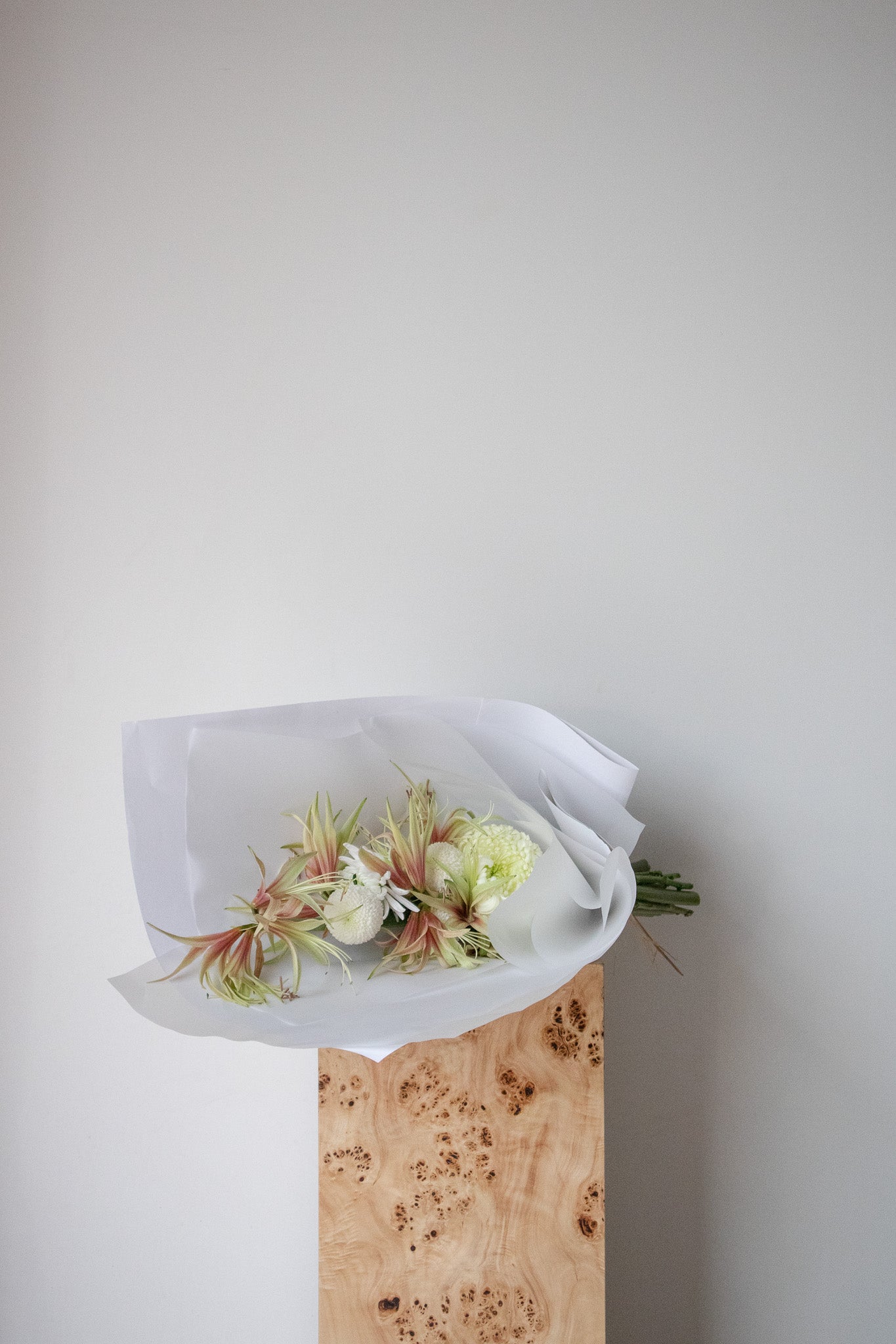 COMPLEMENT VOL 15 - LARGE