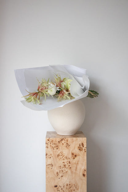 COMPLEMENT VOL 15 - LARGE