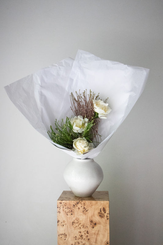 COMPLEMENT VOL 07 - SMALL