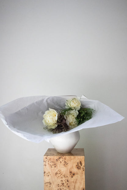 COMPLEMENT VOL 07 - SMALL