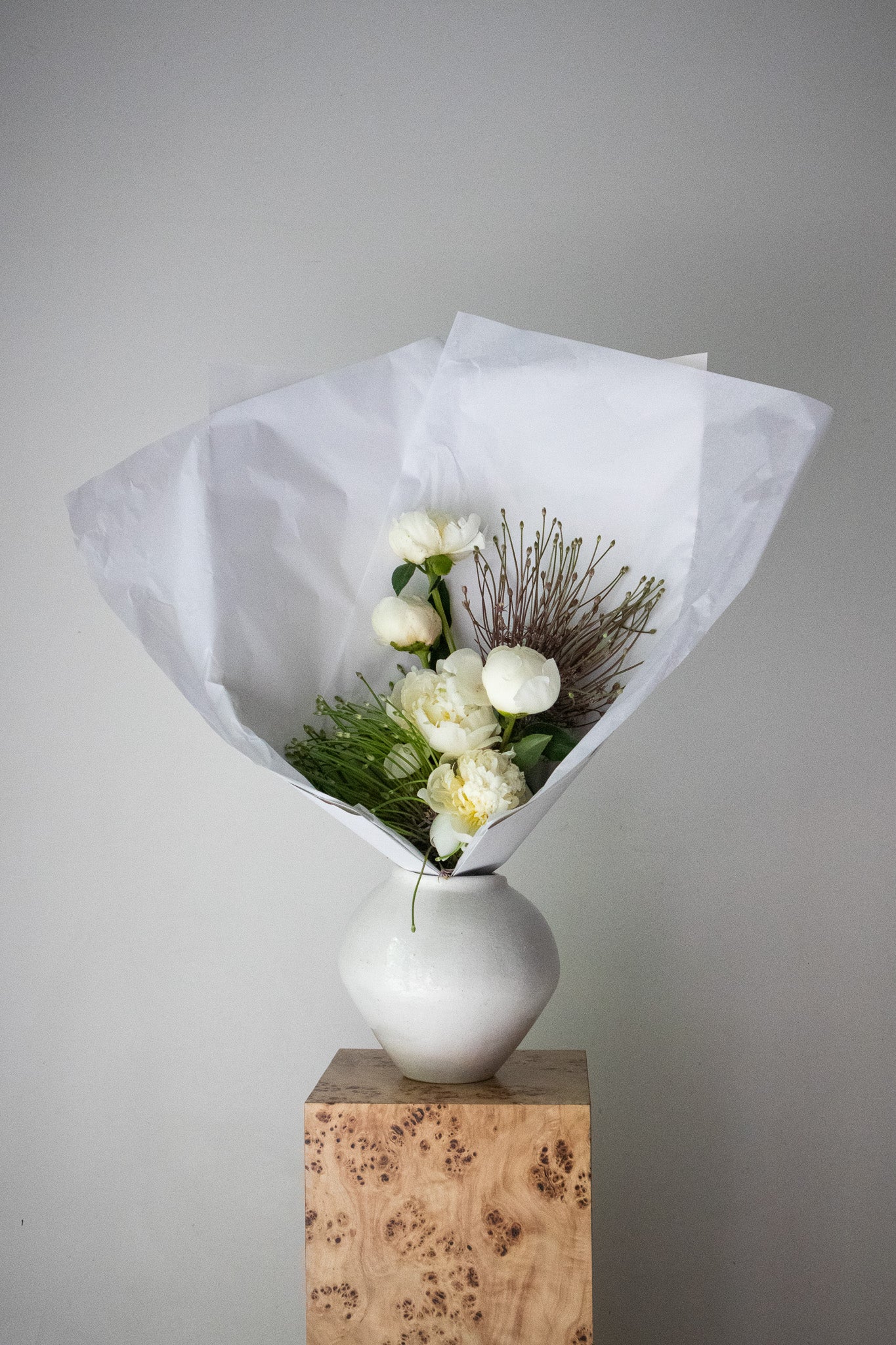 COMPLEMENT VOL 07 - MEDIUM