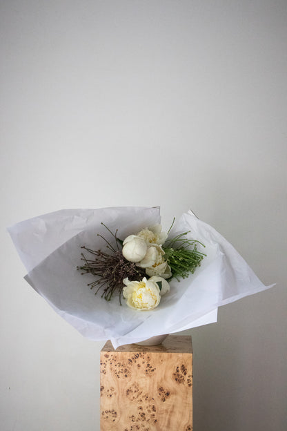 COMPLEMENT VOL 07 - MEDIUM