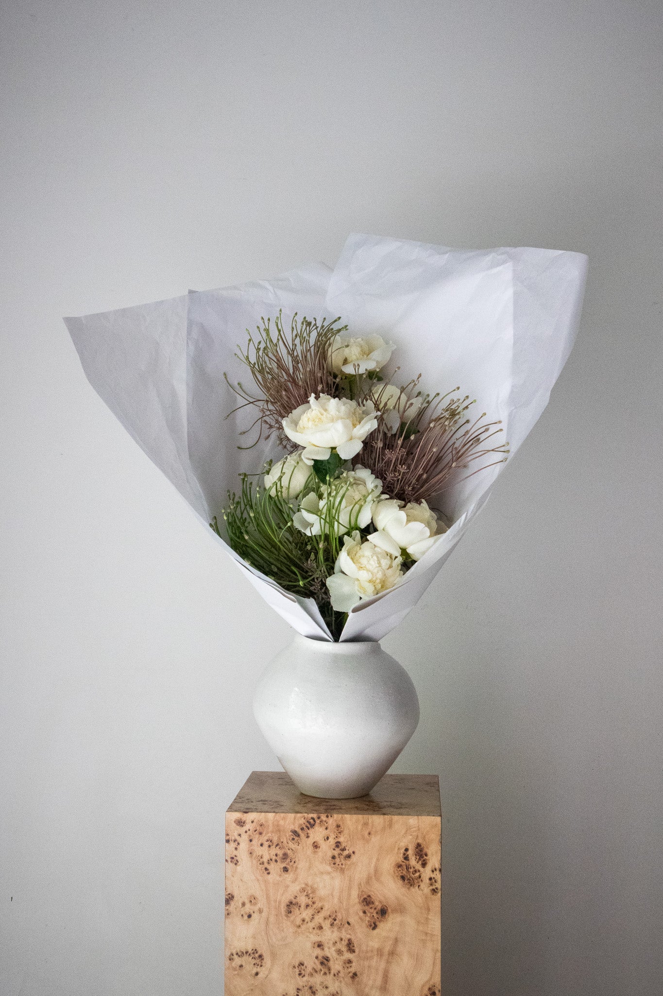 COMPLEMENT VOL 07 - LARGE