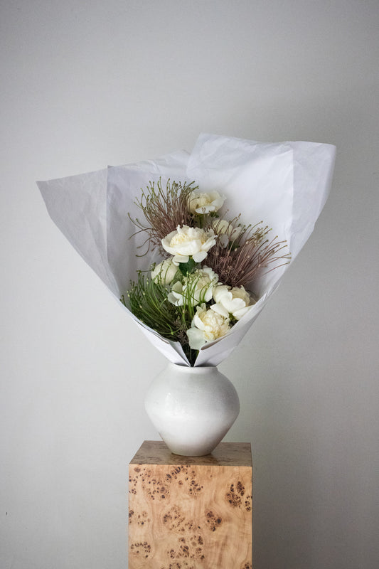 COMPLEMENT VOL 07 - LARGE