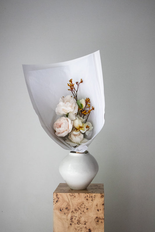 COMPLEMENT VOL 08 - SMALL