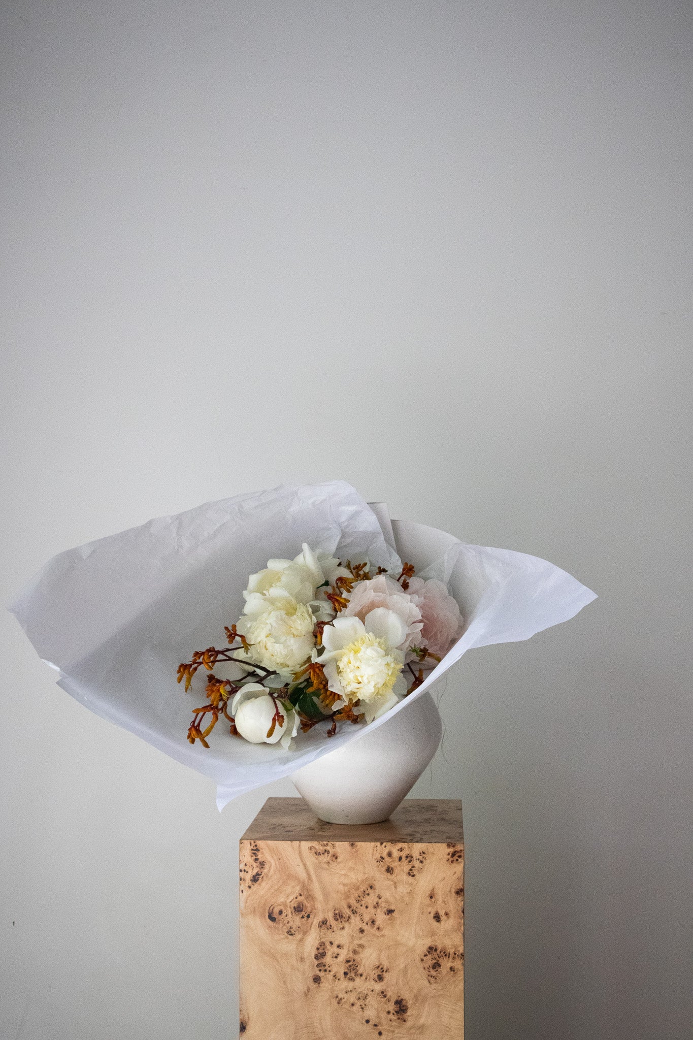 COMPLEMENT VOL 08 - LARGE