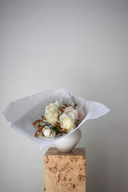 COMPLEMENT VOL 08 - LARGE