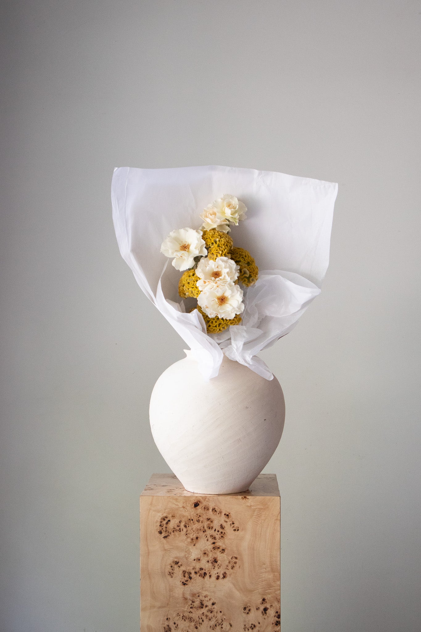 COMPLEMENT VOL 09 - SMALL