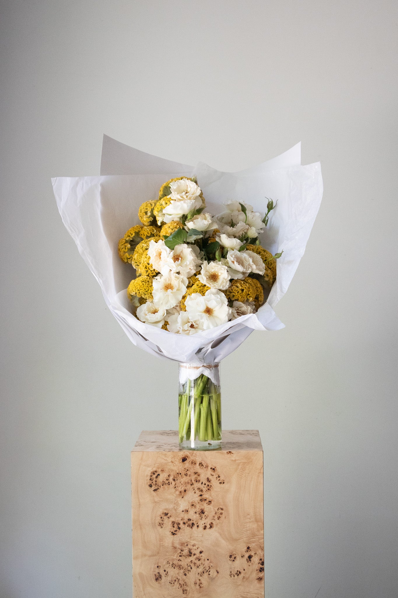 COMPLEMENT VOL 09 - VASE