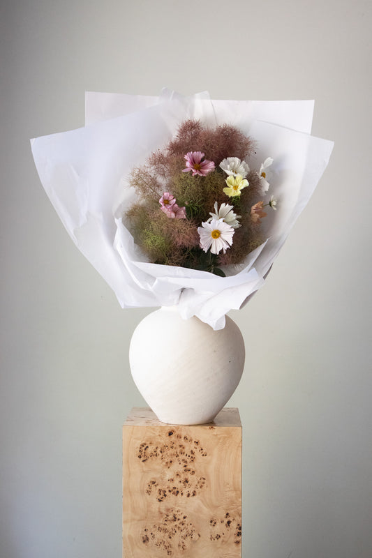 COMPLEMENT VOL 10 - SMALL