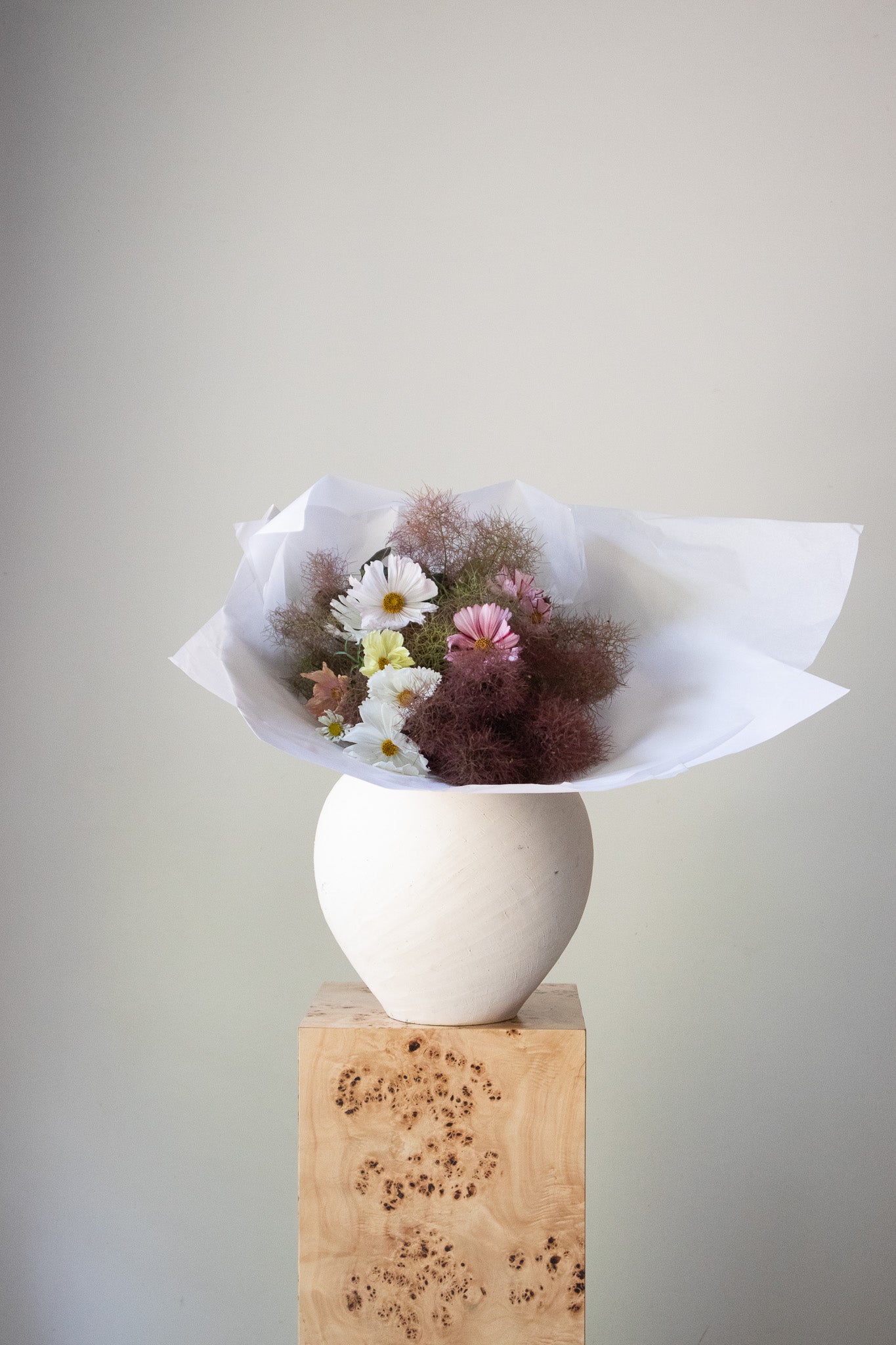 COMPLEMENT VOL 10 - SMALL