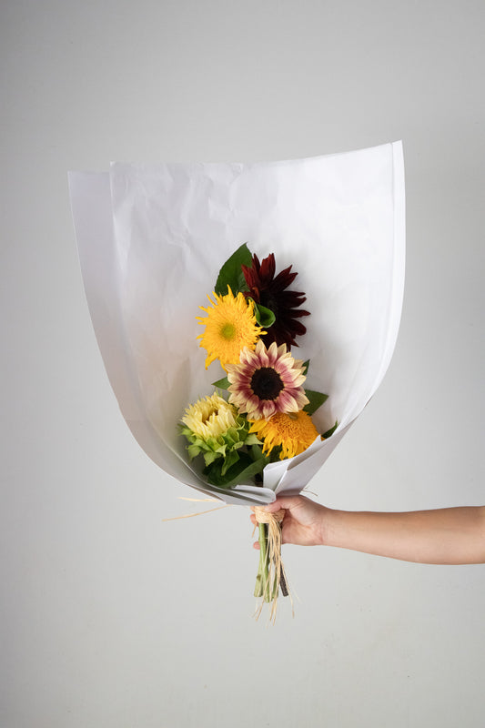HOME SOIL SUNFLOWER - SMALL