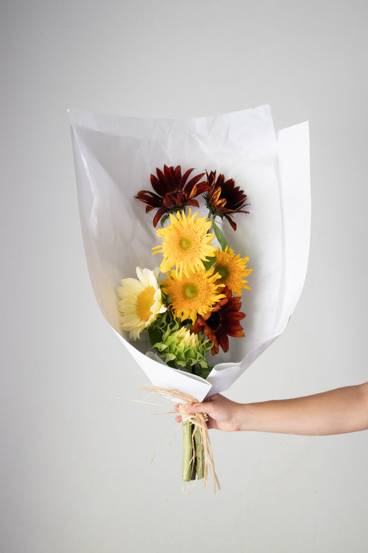 HOME SOIL SUNFLOWER - MEDIUM