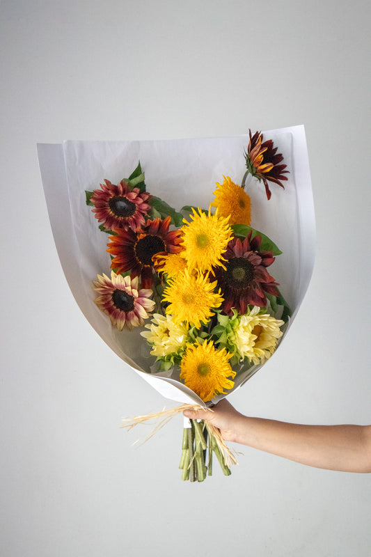 HOME SOIL SUNFLOWER - EXTRA LARGE