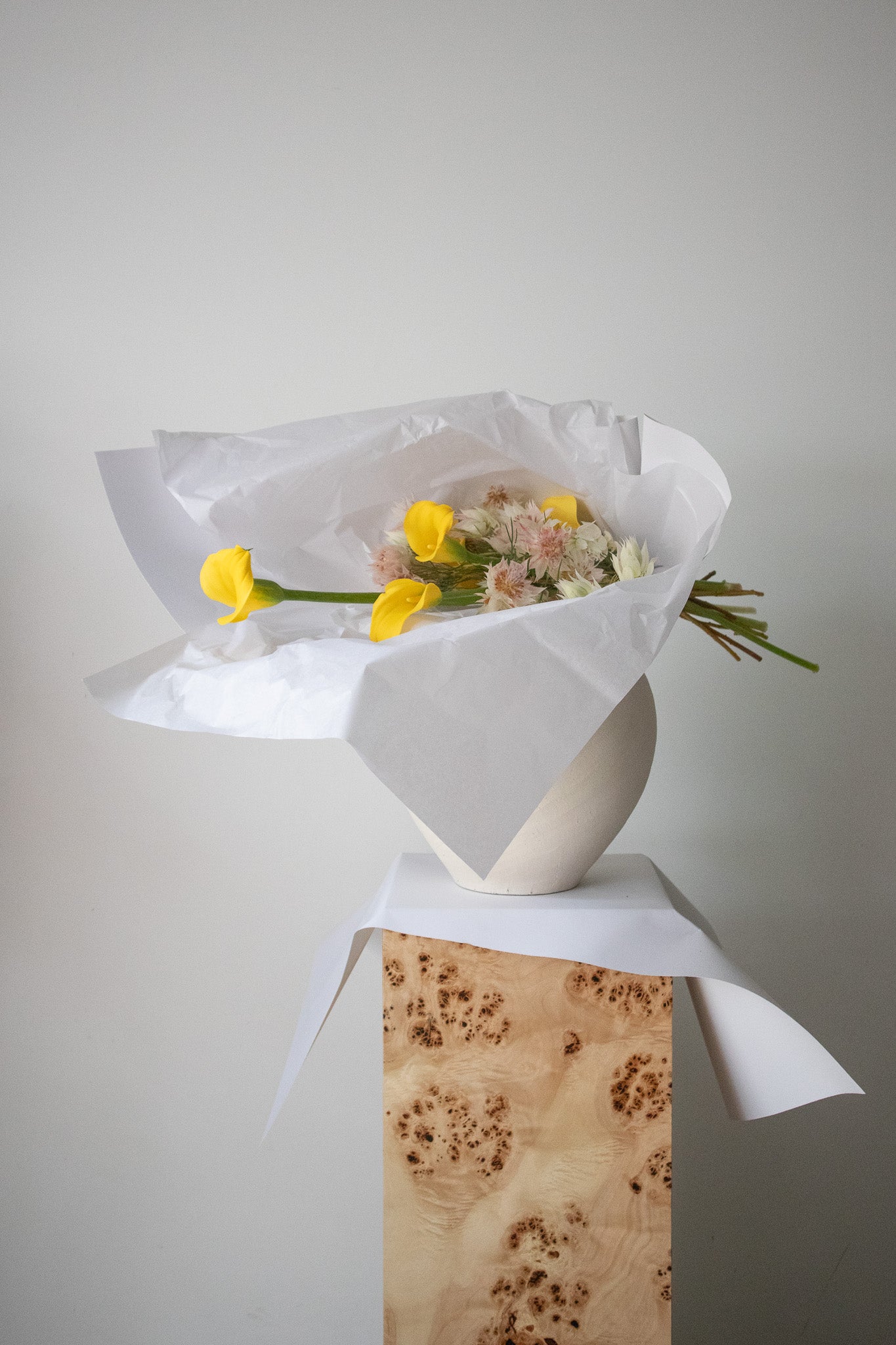 COMPLEMENT VOL 14 - LARGE