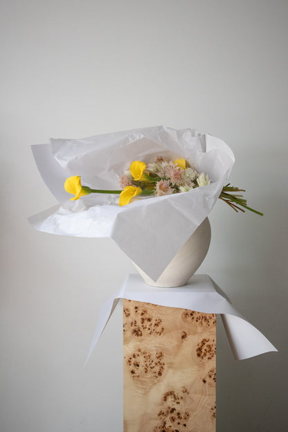 COMPLEMENT VOL 14 - LARGE