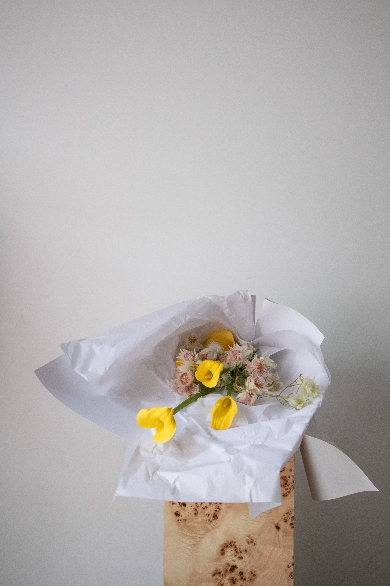 COMPLEMENT VOL 14 - LARGE