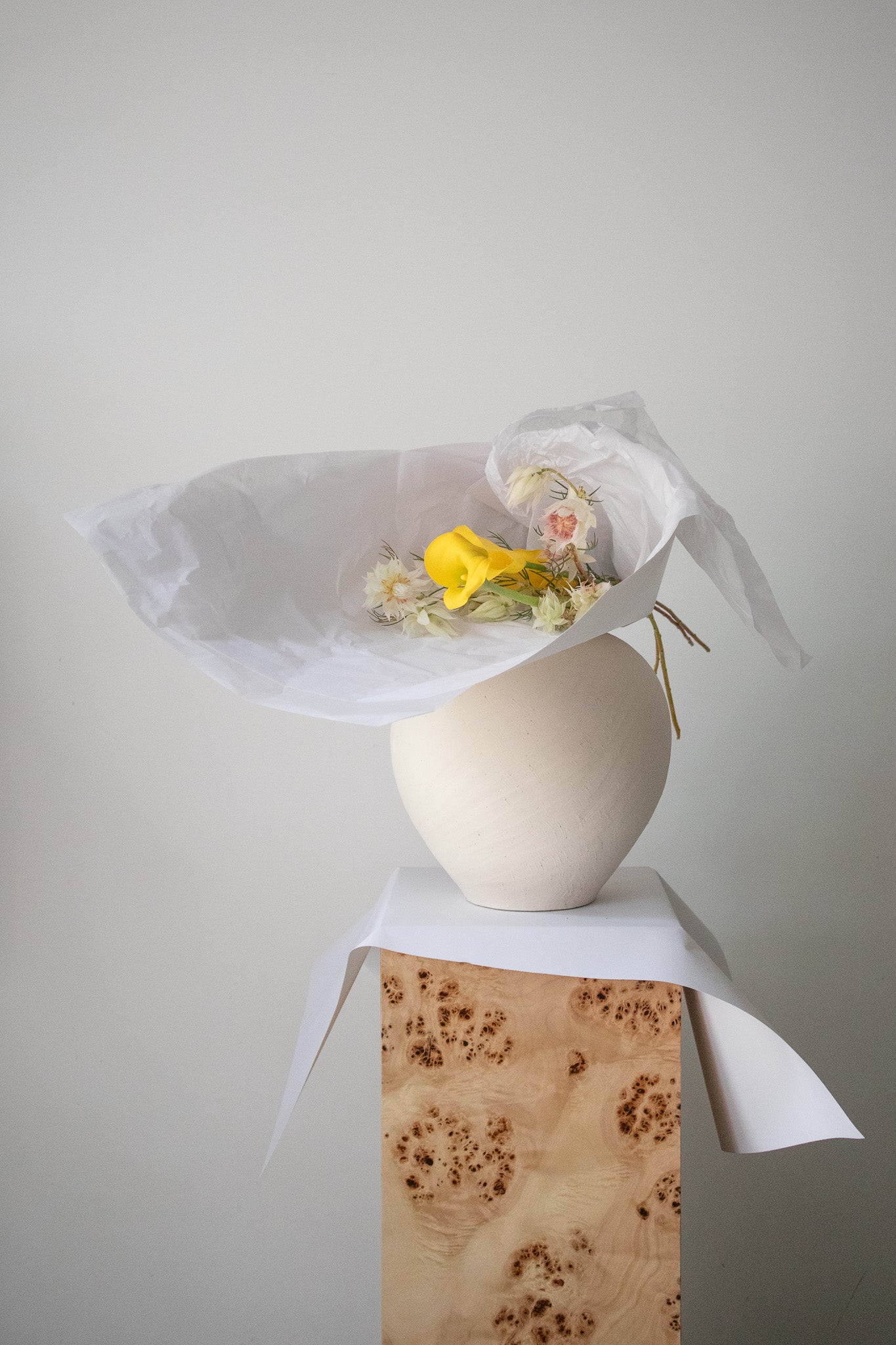 COMPLEMENT VOL 14 - SMALL