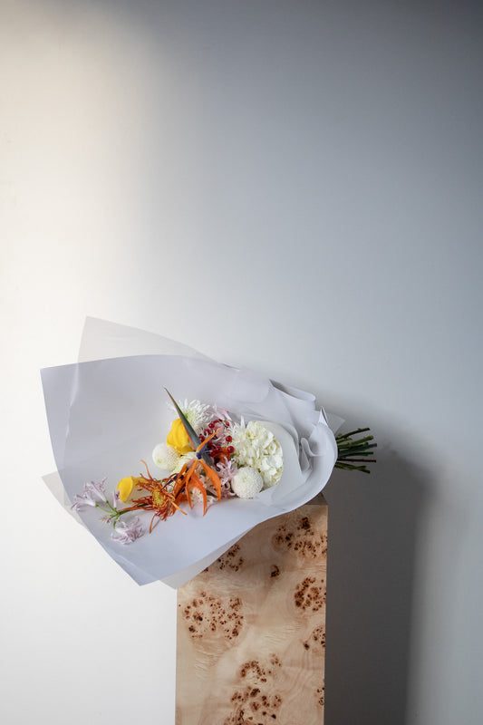 CONTEMPORARY - EXTRA LARGE