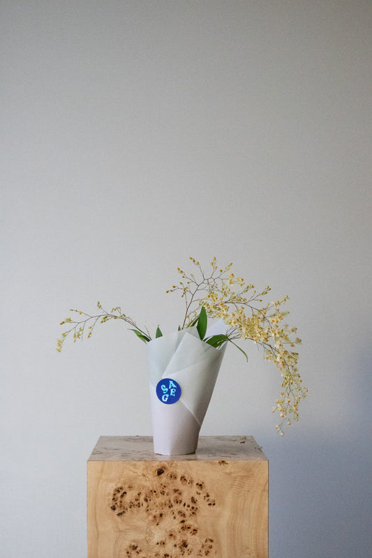 LOVE NOTES VALENTINE'S - POTTED ONCIDIUM ORCHID