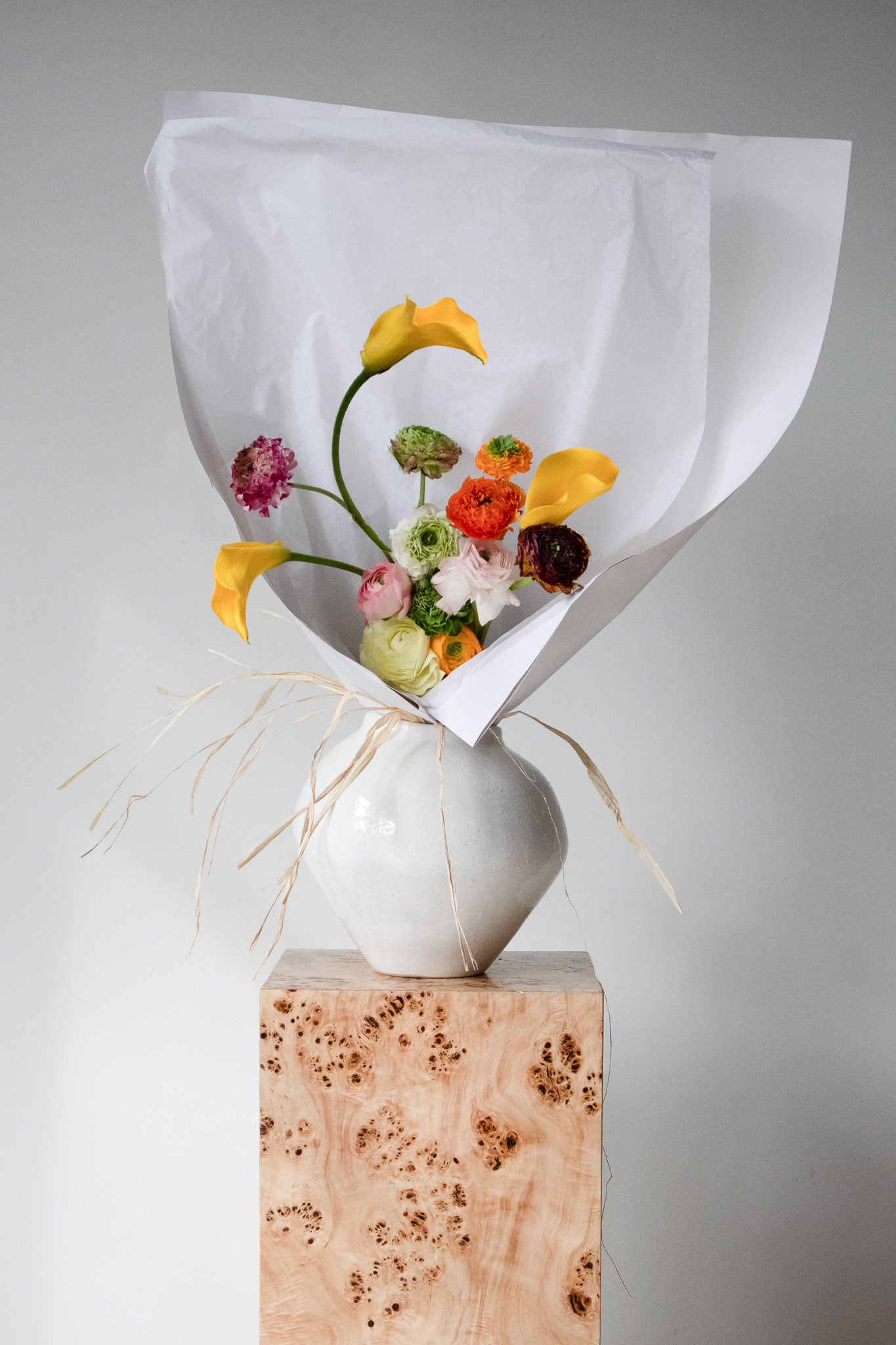 COMPLEMENT VOL 05 - LARGE