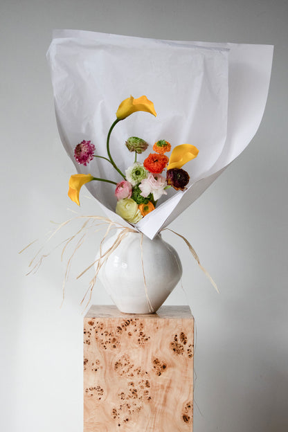 COMPLEMENT VOL 05 - LARGE