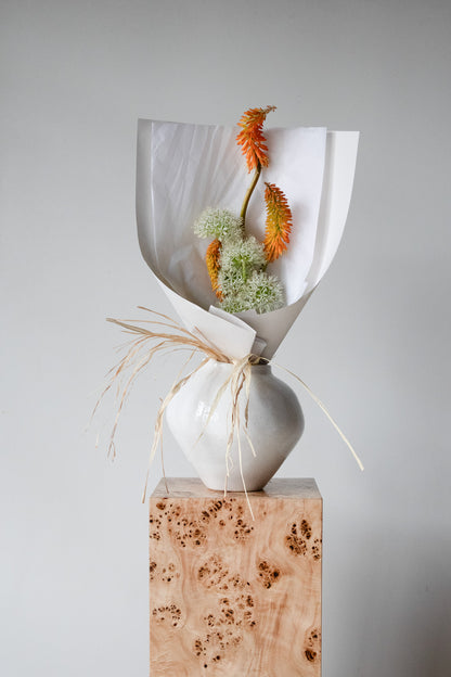 COMPLEMENT VOL 04 - SMALL